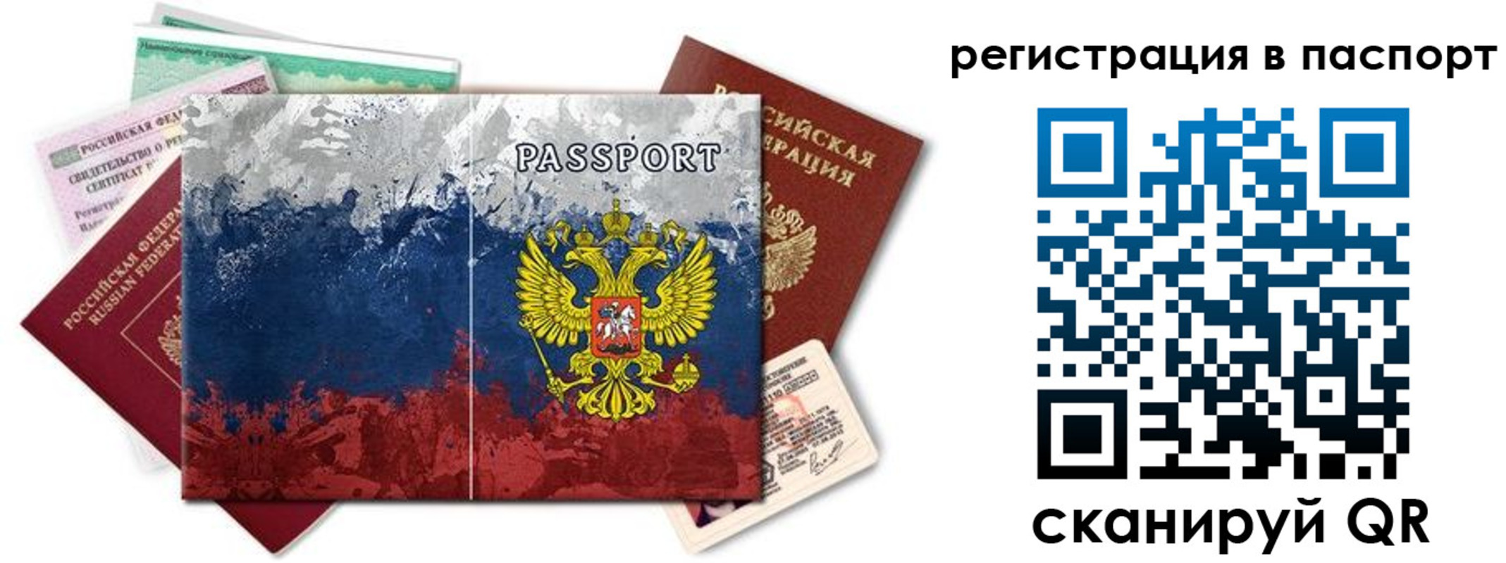 прописка поиск в Кингисеппе